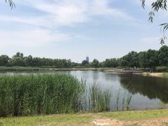 -永定河休闲森林公园