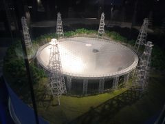 -贝林大翅鲸简餐厅(国家海洋博物馆店)