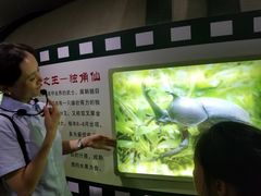 -上海昆虫博物馆