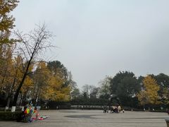 -重庆彩云湖湿地公园