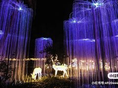 -欢乐海岸椰林沙滩-2025湾区超级灯会