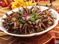 碳烧乳鸽-煌潮大酒店