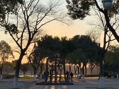 -圩墩遗址公园