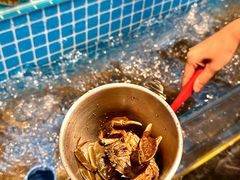 -焰江山海鲜牛排烤肉自助(锦华万达二星店)