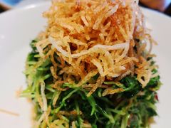 巧拌豆苗-四季民福烤鸭店(前门廊房二条店)
