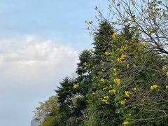 -西湖公园(鼓楼区)
