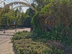 -太阳岛度假酒店