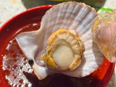 -巧克力渔家.小船海鲜胶东菜(三浴场店)