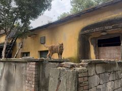 -东信·和创园