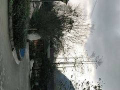 -源泉冷水鱼庄(小鱼洞店)