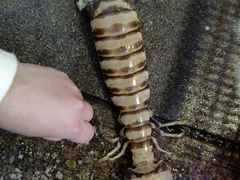 -富来美食(成发大厦店)