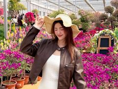 -沂蒙云瀑洞天景区