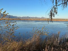 -野鸭湖国家湿地公园