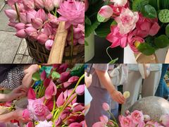 -溪岸路花鸟市场