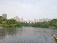 -重庆彩云湖湿地公园