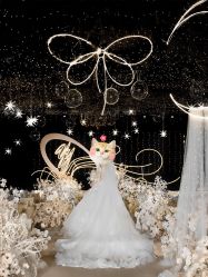 -南昌喜来登酒店·宴会厅