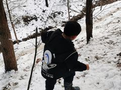 -四明山国家森林公园