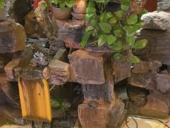 -宛平李记火锅(东关街店)