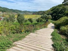 -南泥湾风景区