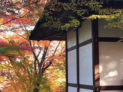 -常寂光寺