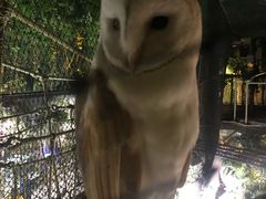 -迪拜水族馆及水下动物园