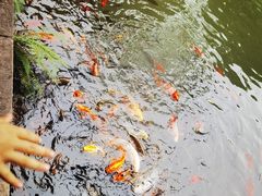 -成都杜甫草堂博物馆