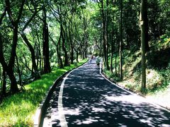 -广州雕塑公园
