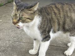 -衣裳街历史文化街区