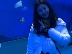 -泉城欧乐堡海洋极地世界