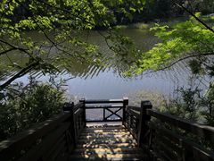 -白马涧龙池景区