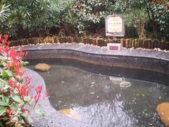 -宁海森林温泉