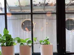 靠窗位-Bitter酒吧(五原路店)