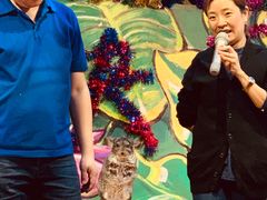-上海大自然野生昆虫馆(东方明珠·爬宠昆虫探索中心)