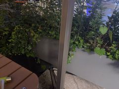 -MARU玛露音乐餐厅(大学路店)