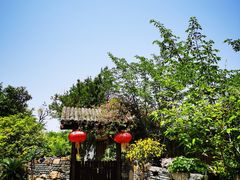 -鹅湖玫瑰文化园