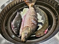 -灶座小锅烀饼·铁锅炖(道里店)