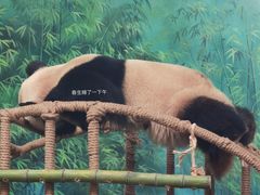-杭州动物园