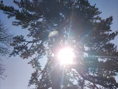 -香山公园