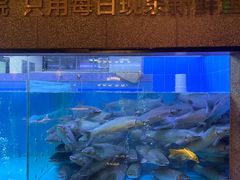 -淘米捞·米汤脆鲩鱼火锅(福田皇岗店)