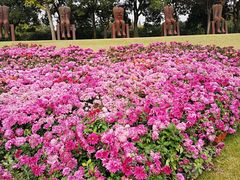 -上海月湖雕塑公园