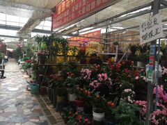 -秦美花卉(天朗·莱茵小城2期店)