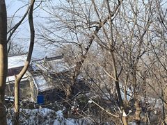 -终南山南五台景区