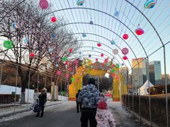 -沈阳奥体冰雪嘉年华