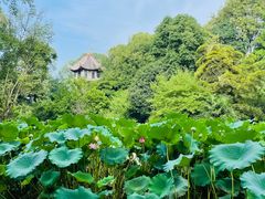 -成都杜甫草堂博物馆