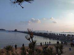 -青岛海滨风景区