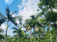 -云溪植物园