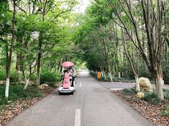 -凤凰沟景区