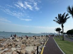 -野狸岛