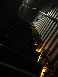 -意念造型