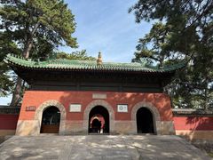-普乐寺